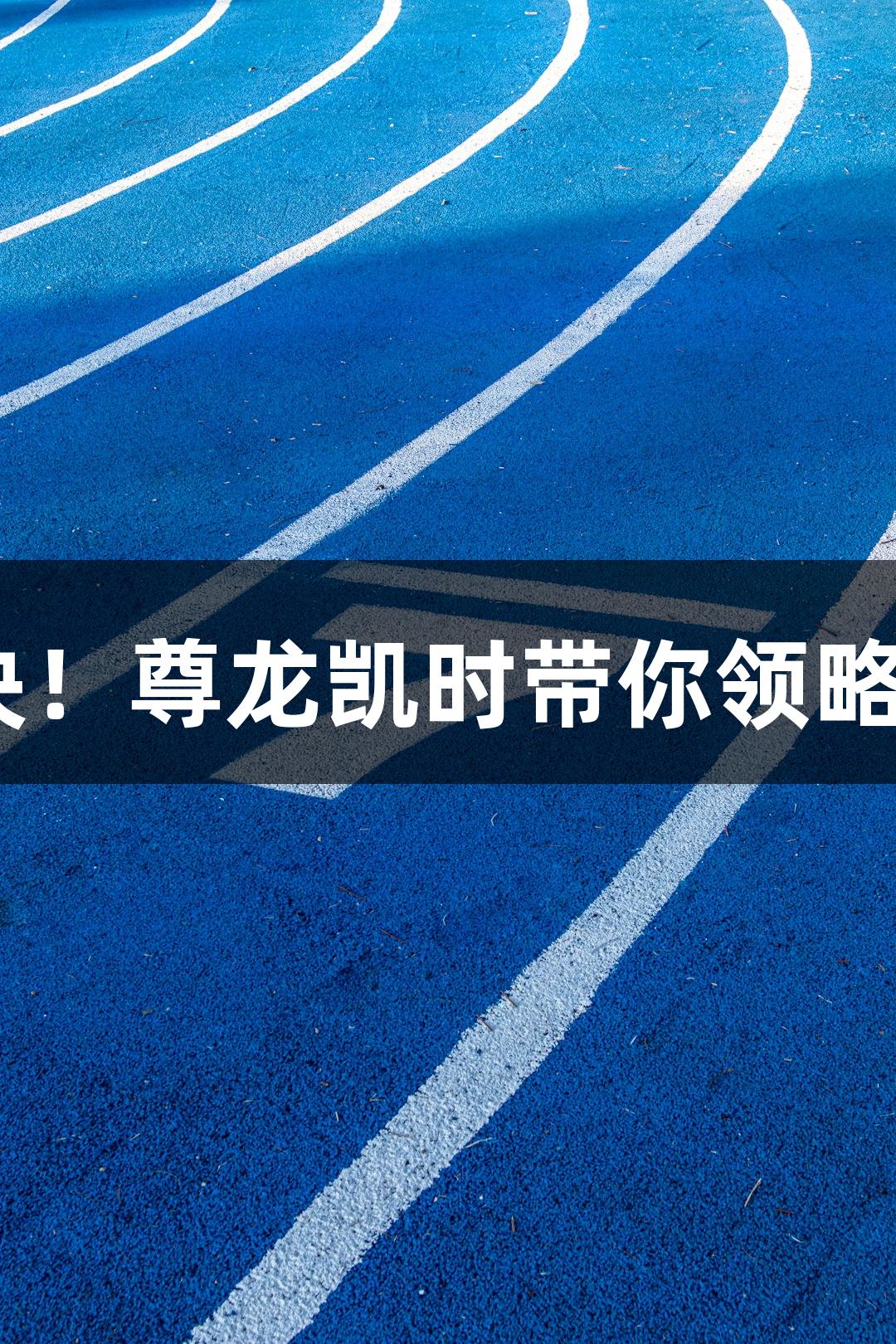 德BA半决赛精彩对决！尊龙凯时带你领略临邑宁津之巅峰对抗