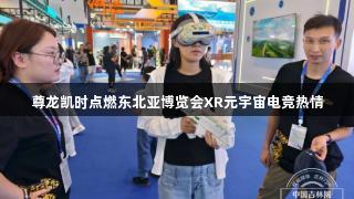 尊龙凯时点燃东北亚博览会XR元宇宙电竞热情