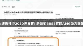 火速选帅冲2030世界杯! 新葡萄8883官网AMG助力国足!