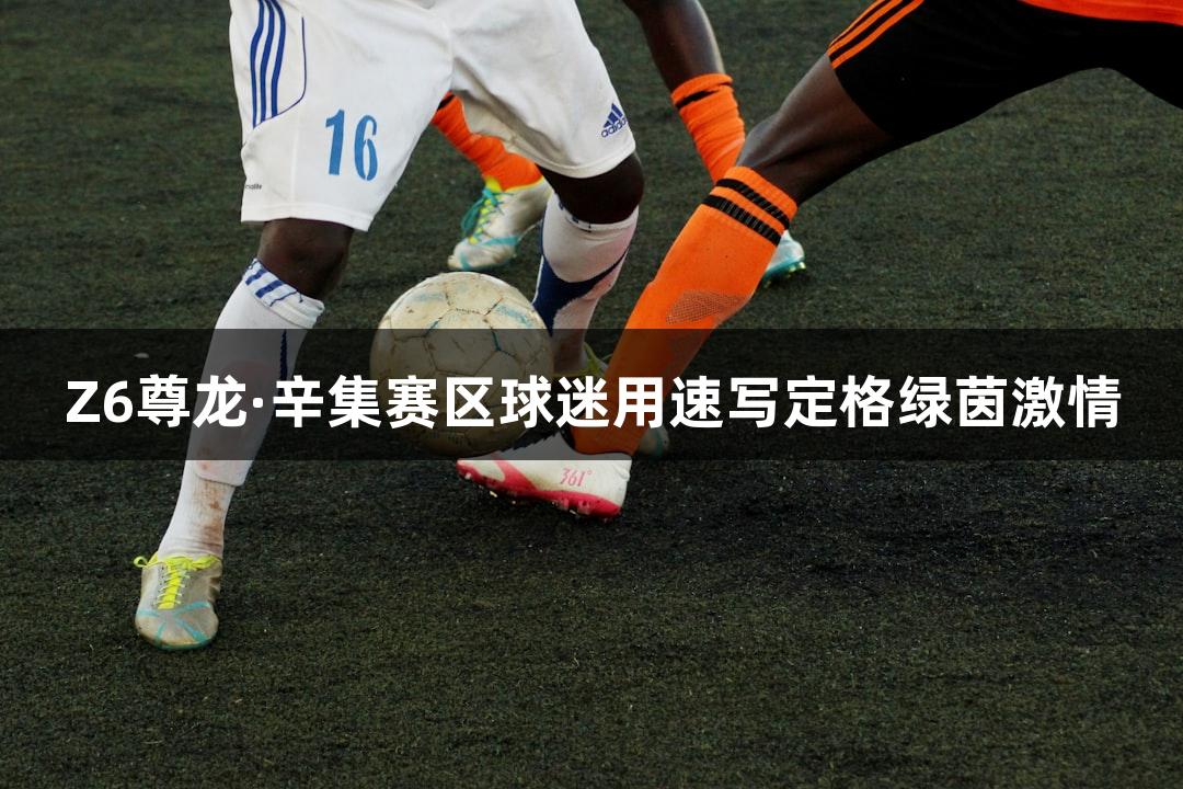 Z6尊龙·辛集赛区球迷用速写定格绿茵激情