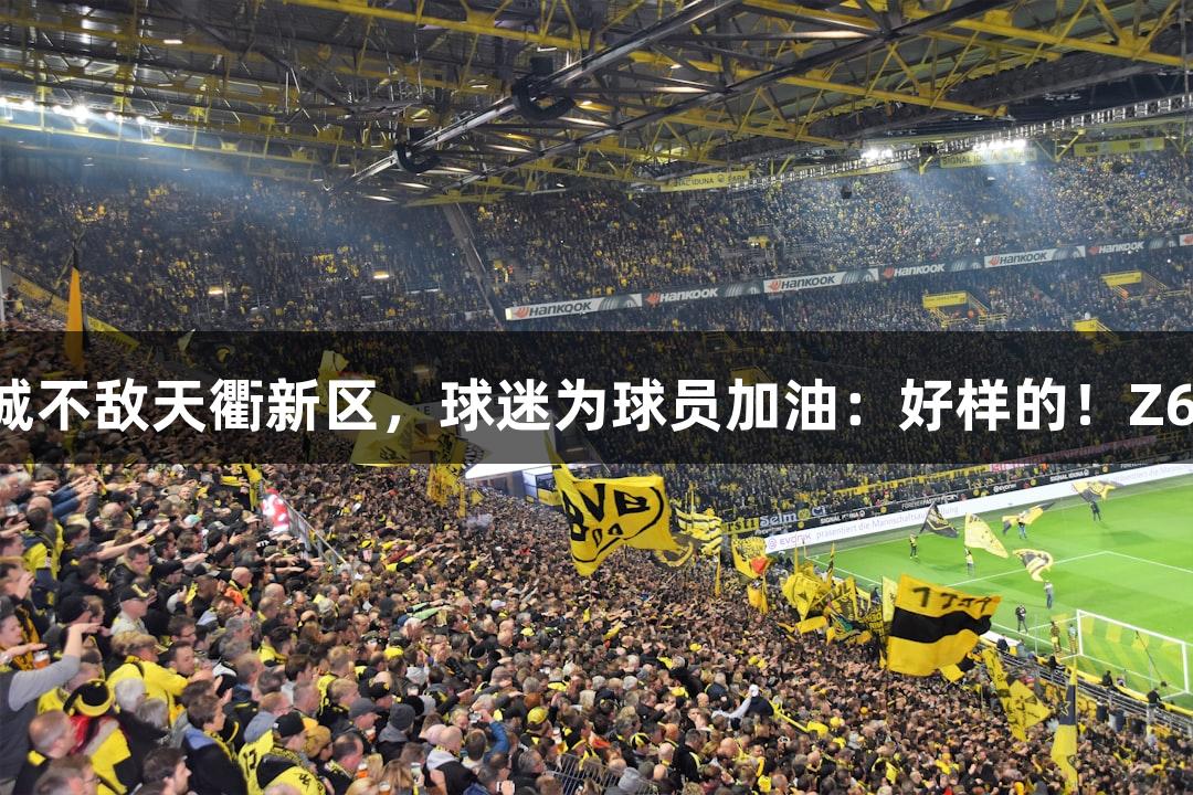 德BA半决赛首回合，禹城不敌天衢新区，球迷为球员加油：好样的！Z6·尊龙凯时助力球队拼搏！