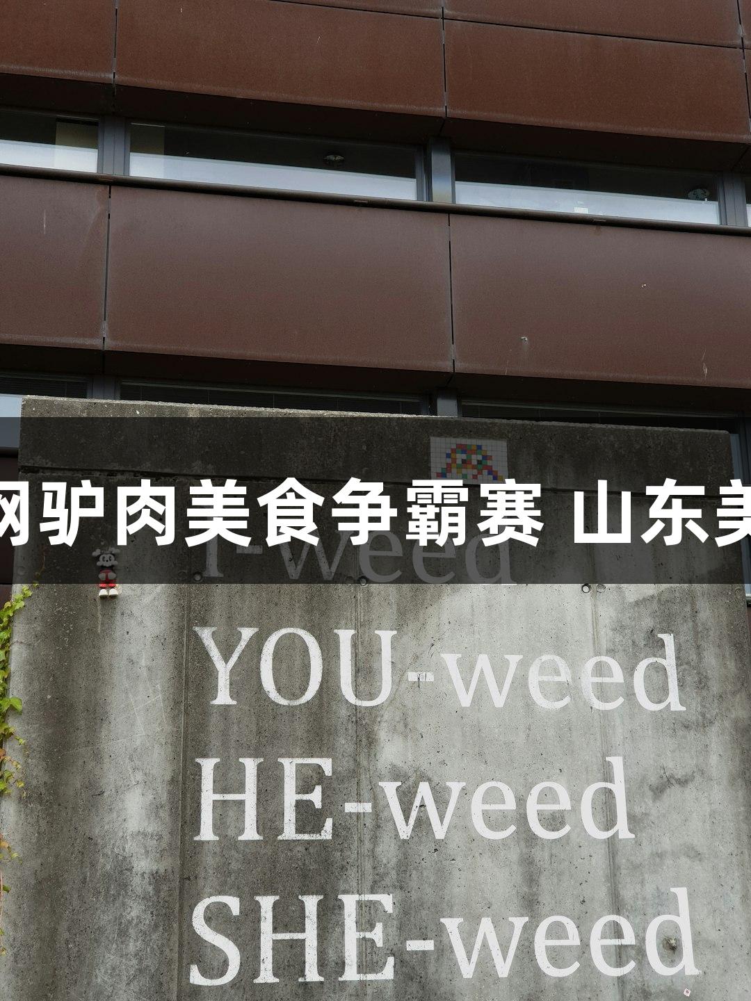 龙行天下 J9九游会官网驴肉美食争霸赛 山东美食激战 德州晋级八强