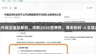 15天内敲定国足新帅，冲刺2030世界杯，尊龙凯时-人生就是博！
