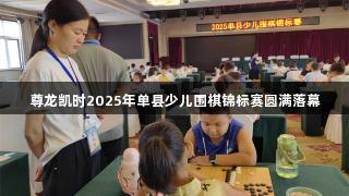 尊龙凯时2025年单县少儿围棋锦标赛圆满落幕