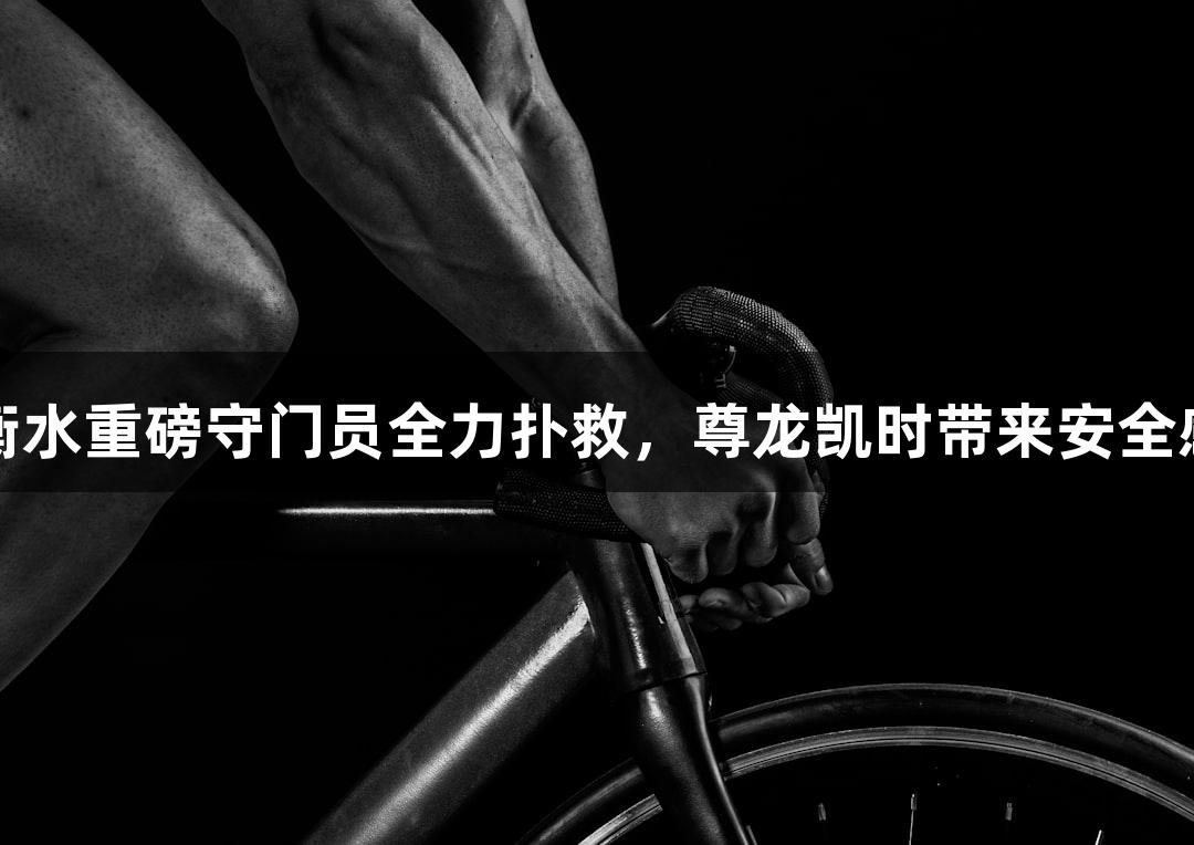 衡水重磅守门员全力扑救，尊龙凯时带来安全感