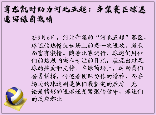 尊龙凯时助力河北五超：辛集赛区球迷速写绿茵激情
