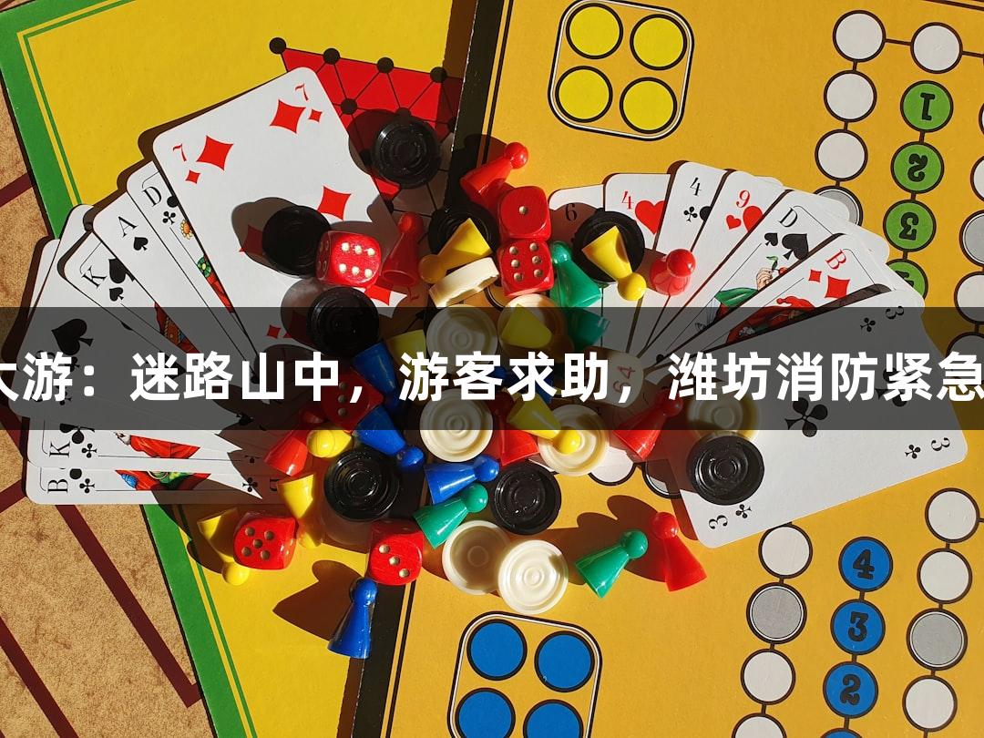 BG大游：迷路山中，游客求助，潍坊消防紧急驰援