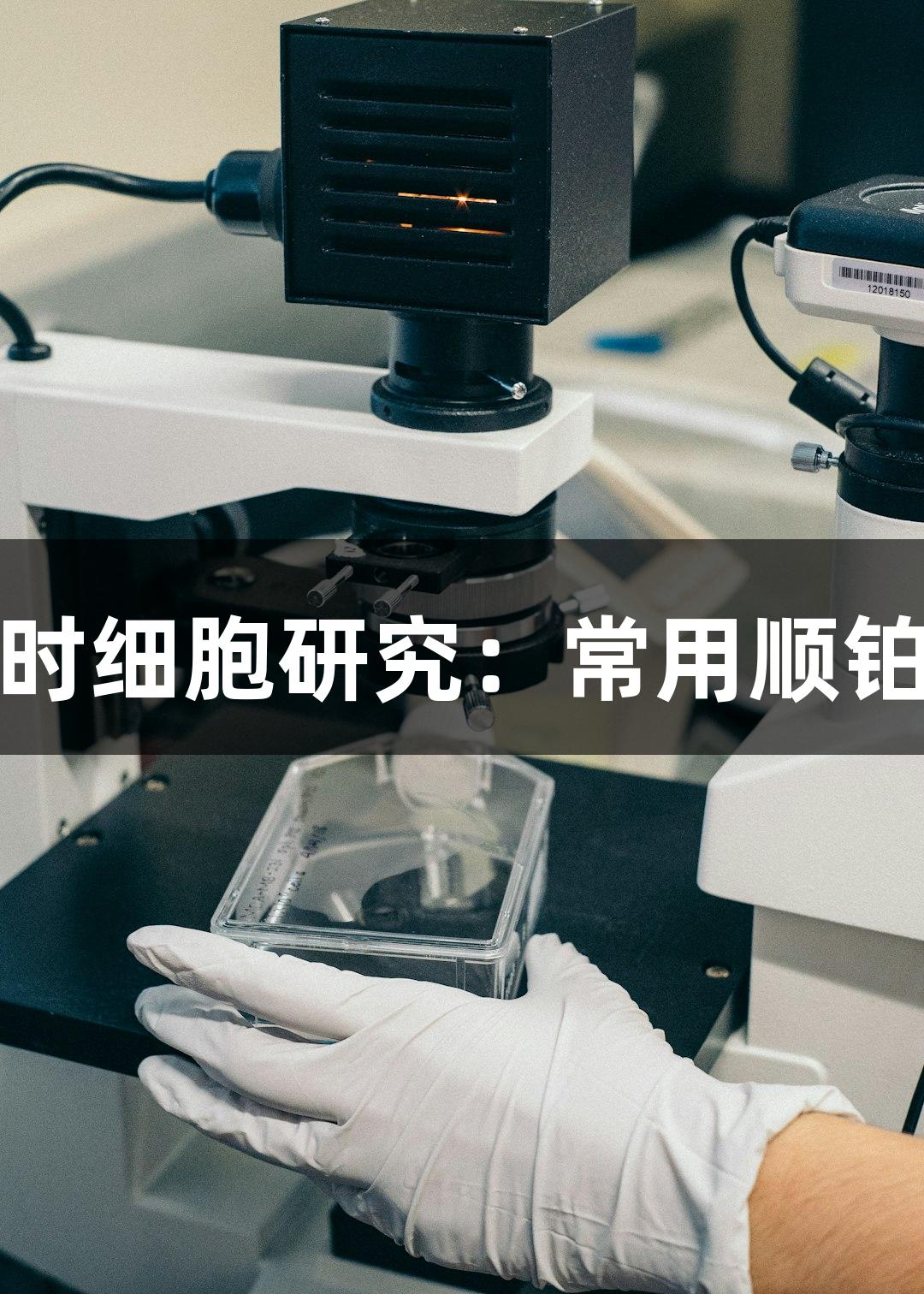 浙江尊龙凯时细胞研究：常用顺铂耐药株分析