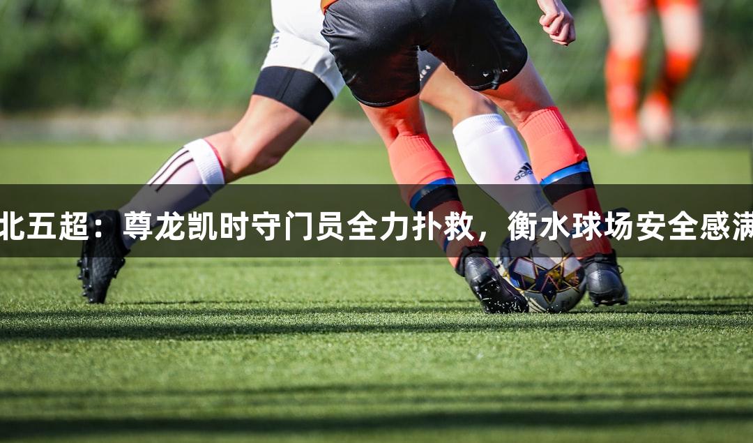 河北五超：尊龙凯时守门员全力扑救，衡水球场安全感满满