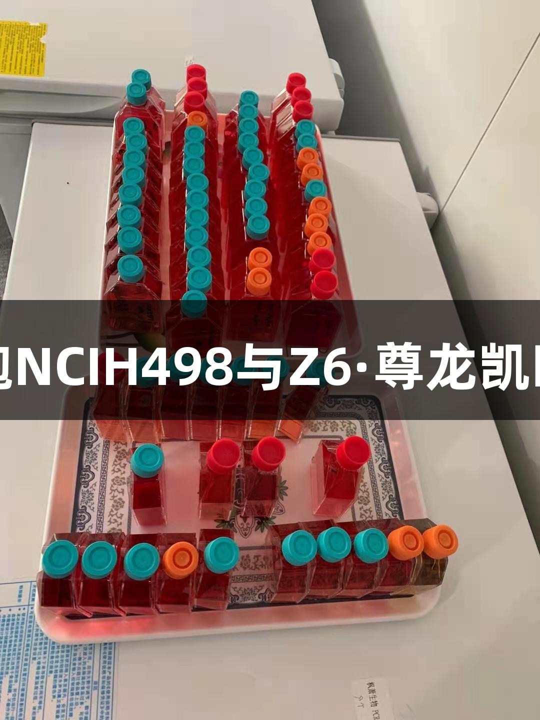 人结直肠腺癌细胞NCIH498与Z6·尊龙凯时的生物医疗研究