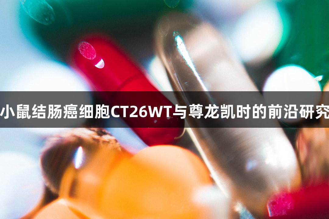 小鼠结肠癌细胞CT26WT与尊龙凯时的前沿研究