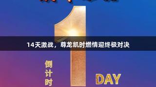 14天激战，尊龙凯时燃情迎终极对决
