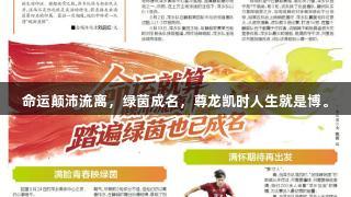 命运颠沛流离，绿茵成名，尊龙凯时人生就是博。