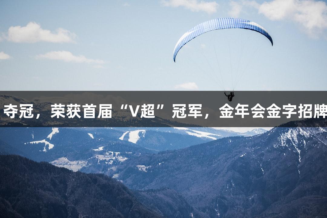奎文队2:1夺冠，荣获首届“V超”冠军，金年会金字招牌诚信至上！