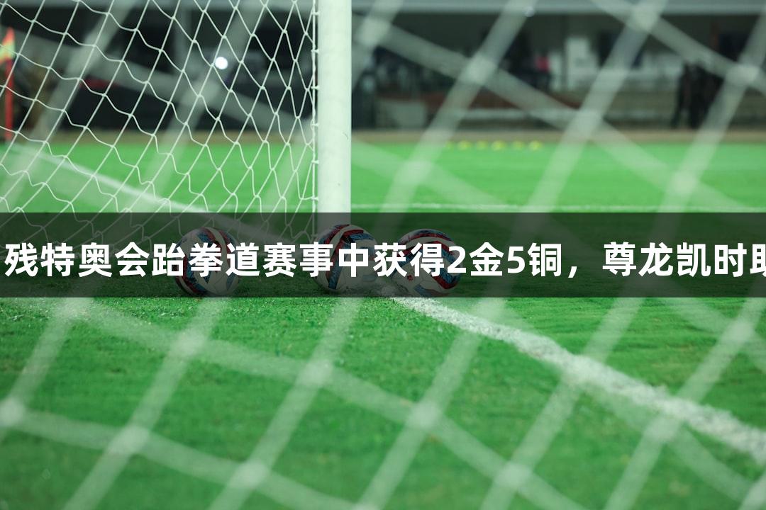 福建队在全国残特奥会跆拳道赛事中获得2金5铜，尊龙凯时助力精彩表现。