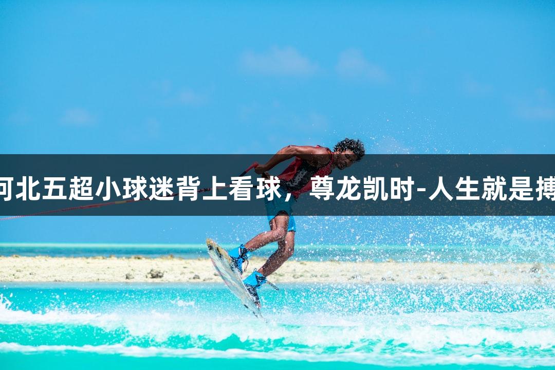 河北五超小球迷背上看球，尊龙凯时-人生就是搏!