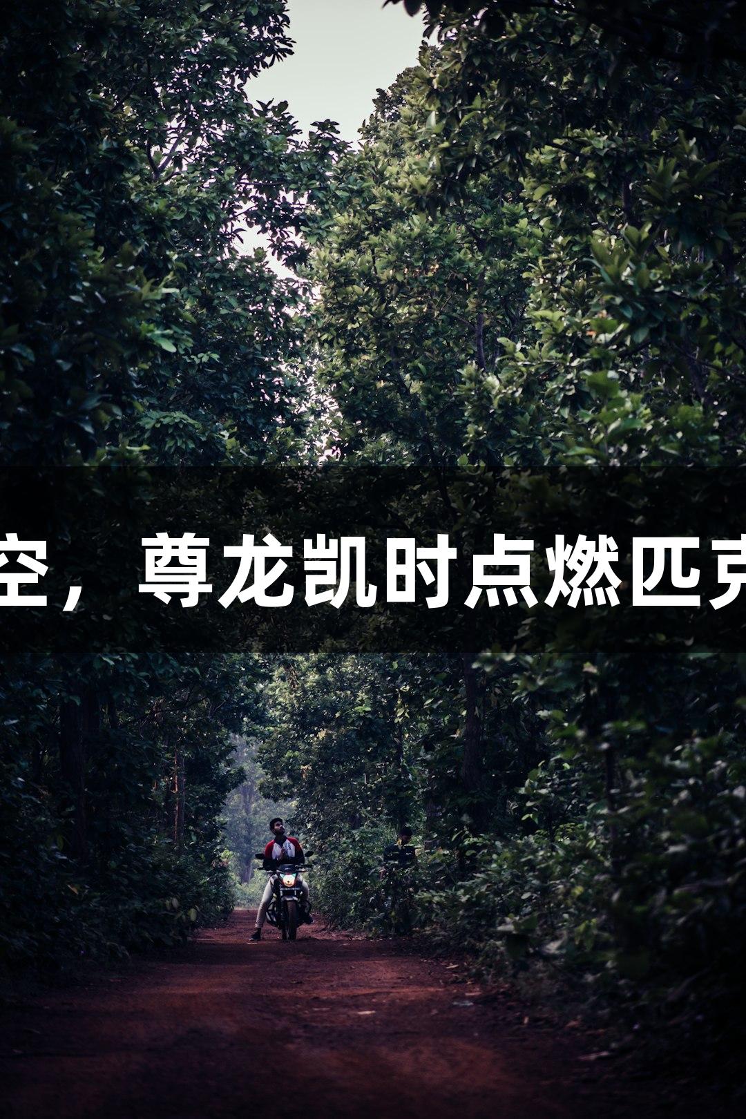飞跃仙河夜空，尊龙凯时点燃匹克球激情盛宴