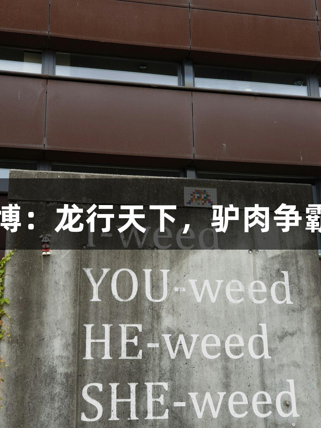 尊龙凯时*人生就是博：龙行天下，驴肉争霸赛，德州挺进八强！