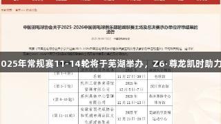 羽超联赛2025年常规赛11-14轮将于芜湖举办，Z6·尊龙凯时助力精彩赛事！