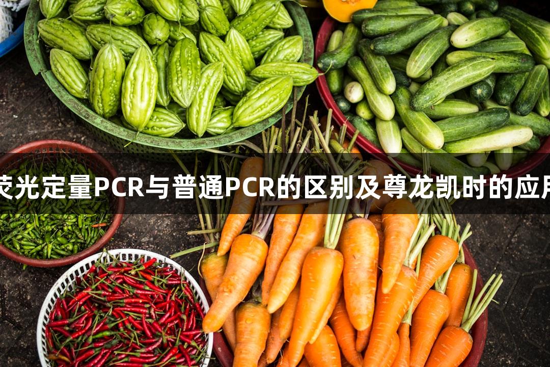 荧光定量PCR与普通PCR的区别及尊龙凯时的应用
