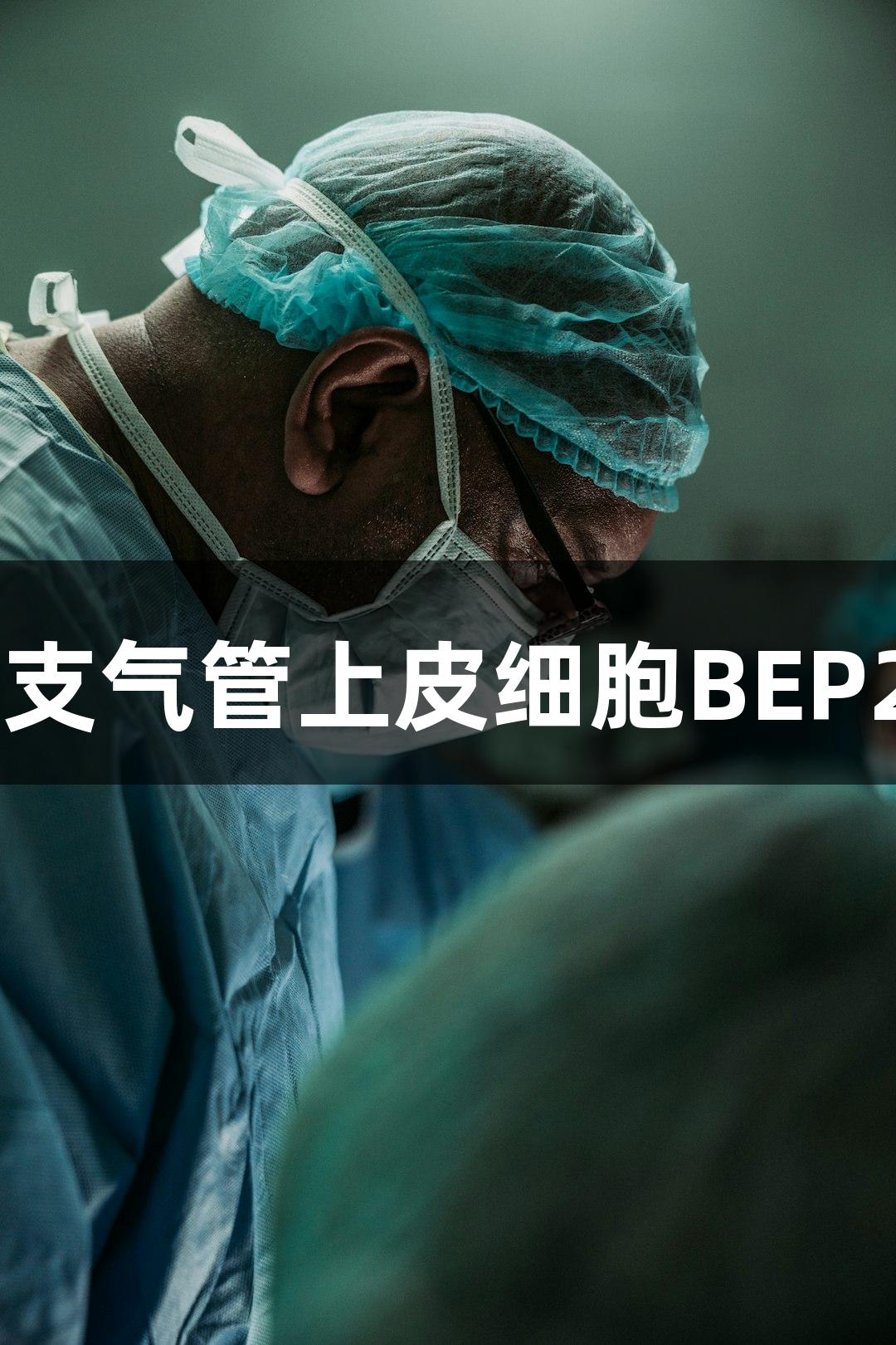 尊龙凯时人支气管上皮细胞BEP2D培养技术